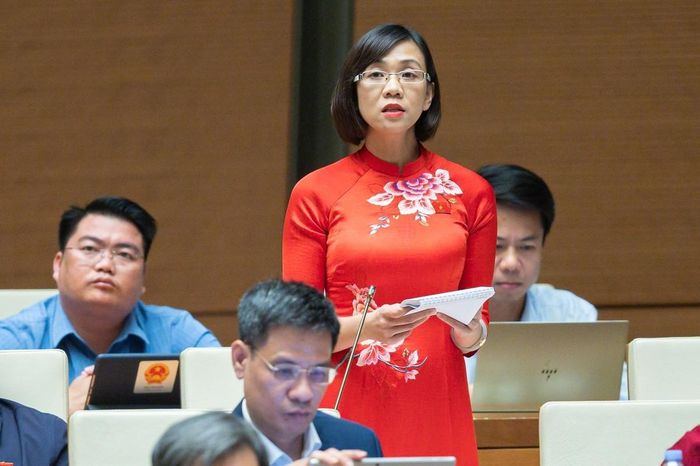 Đại biểu Quốc hội Trịnh Thị Tú Anh.