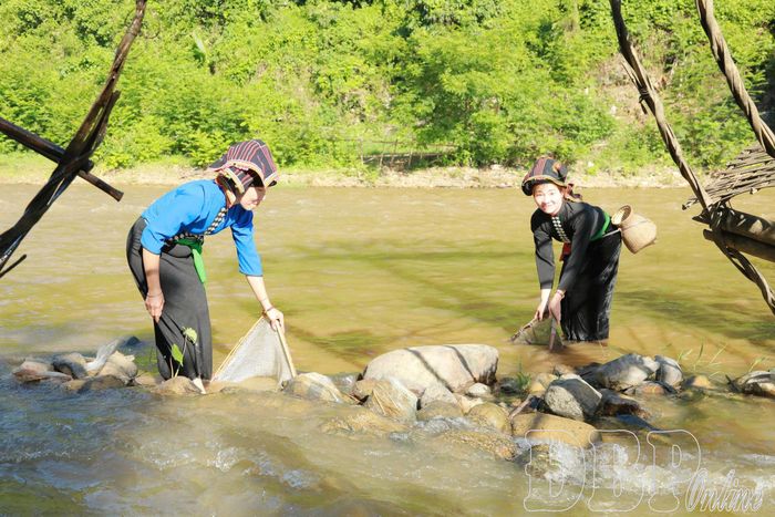 Phụ nữ dân tộc Thái đánh bắt cá trên sông, suối.