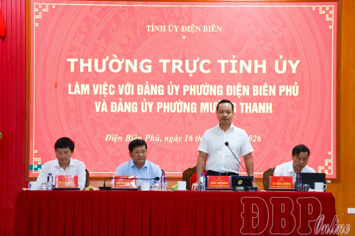 Đồng chí Trần Tiến Dũng, Ủy viên Ban Chấp hành Trung ương Đảng, Bí thư Tỉnh ủy, Trưởng đoàn Đại biểu Quốc hội tỉnh phát biểu tại buổi làm việc.