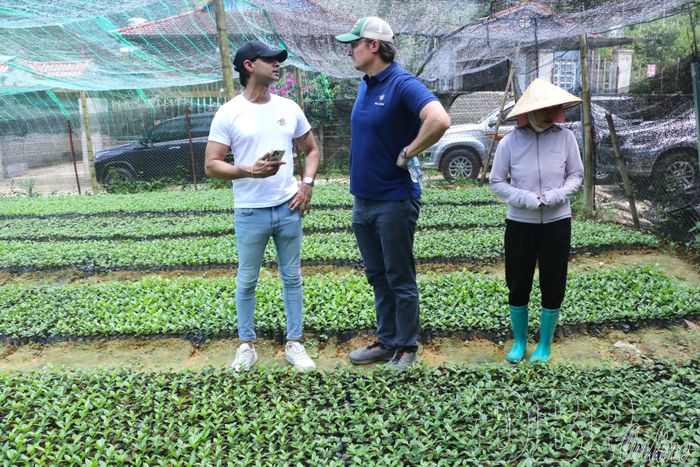 Đoàn công tác Công ty Cổ phần Cà phê Detech thăm vườn ươm cà phê tại bản Cói Bánh, xã Mường Ảng.