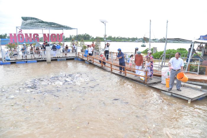Khu bảo tồn cá cộng đồng tại phường Hồng Ngự, tỉnh Đồng Tháp từng bước tạo sự lan tỏa về những nỗ lực và ý nghĩa của công tác bảo tồn nguồn lợi thủy sản, bảo vệ môi trường trong Nhân dân.