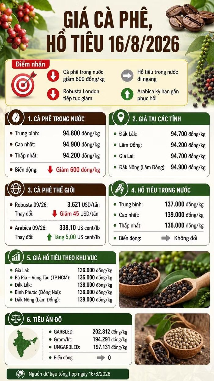 Infographic (AI)