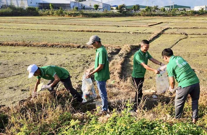 Nông dân xã Diên Điền thu gom vỏ thuốc bảo vệ thực vật trên đồng ruộng.