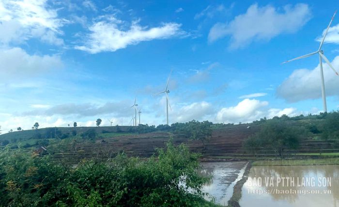 Các tua-bin gió Vestas của Nhà máy Điện gió Nhơn Hòa 1 và Nhơn Hòa 2 (tỉnh Gia Lai)