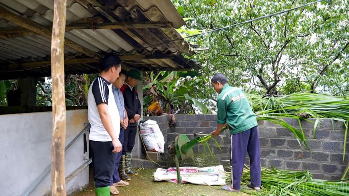 Người dân sử dụng máy băm cỏ, chủ động nguồn thức ăn cho đàn gia súc.