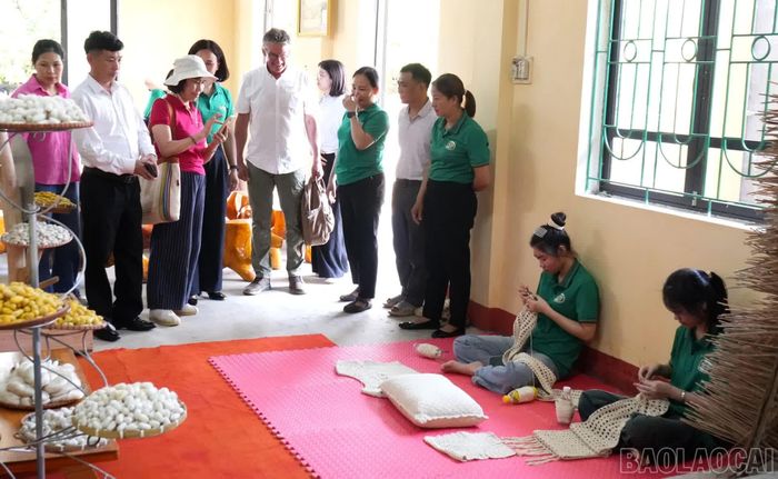 Tham quan, tìm hiểu các sản phẩm từ dâu tằm.