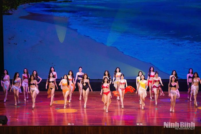Các thí sinh dự thi trong trang phục áo tắm.