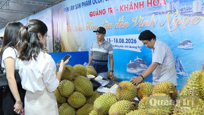 Sầu riêng, một đặc sản từ Khánh Hòa thu hút người dân và du khách - Ảnh: L.T