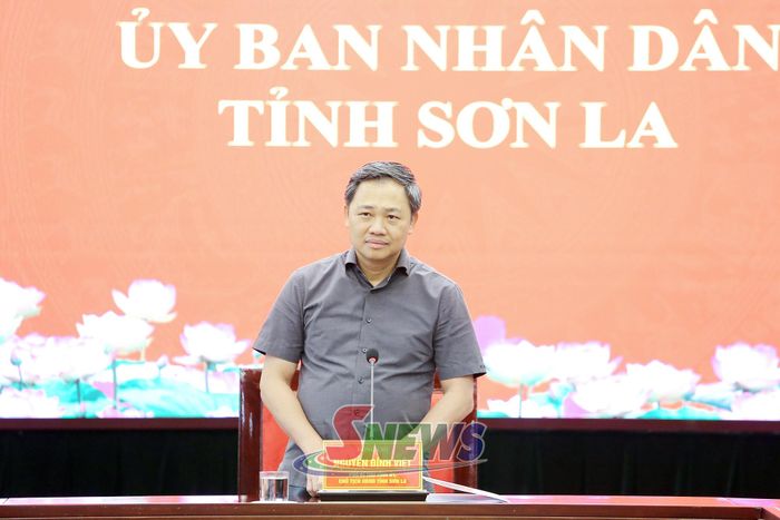 Đồng chí Nguyễn Đình Việt, Phó Bí thư Tỉnh ủy, Chủ tịch UBND tỉnh, phát biểu kết luận cuộc họp.