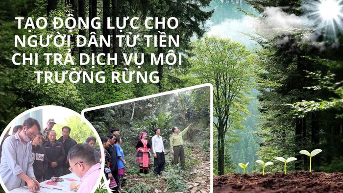 Việc thực thi nghiêm ngặt cơ chế Chi trả Dịch vụ Môi trường Rừng (PES) — buộc các cơ sở khai thác nước sạch hạ du và các đơn vị thụ hưởng cảnh quan phải trích trả phí cho người giữ rừng.