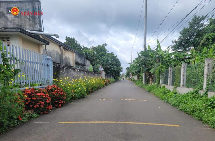 Đường nông thôn trên địa bàn xã Bình Giã (địa bàn huyện Châu Đức cũ) được trải nhựa thông thoáng, sạch sẽ, hai bên người dân trồng hoa nở rực màu sắc. Ảnh: Quang Phương