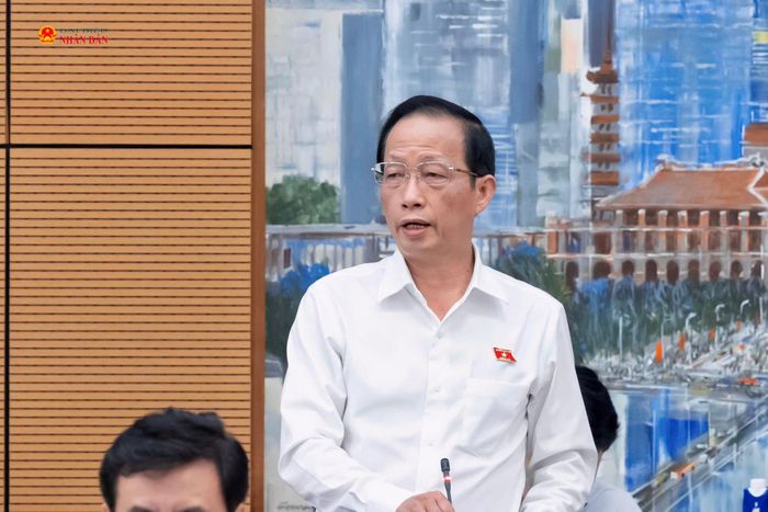 ĐBQH tỉnh Vĩnh Long Nguyễn Trúc Sơn phát biểu. Ảnh: Hồ Long