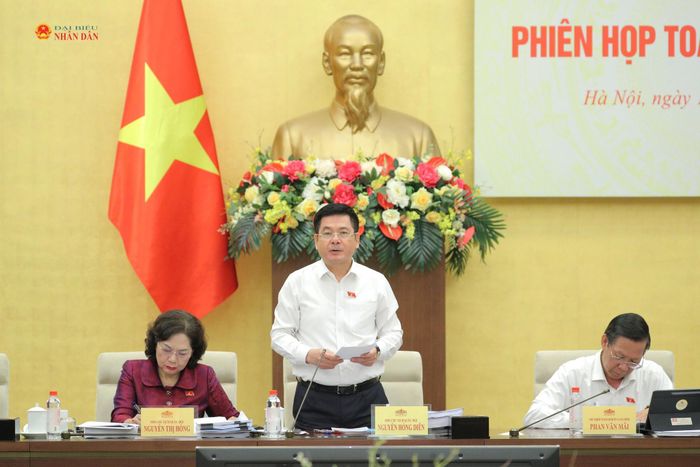 Phó Chủ tịch Quốc hội Nguyễn Hồng Diên phát biểu chỉ đạo tại phiên họp. Ảnh: Hồ Long