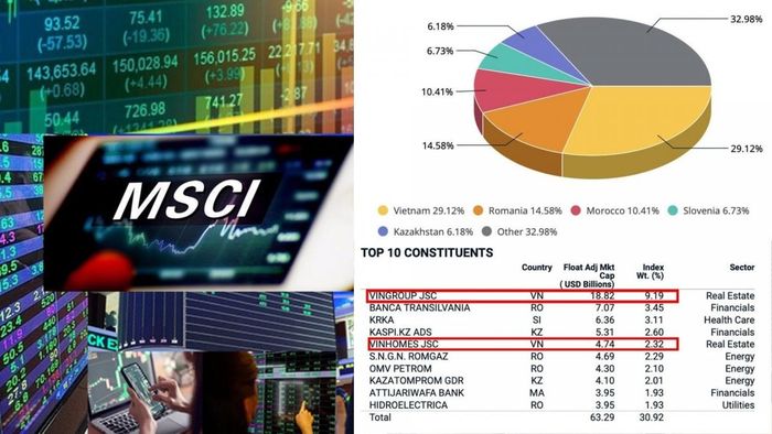 Nhóm ngân hàng tiếp tục giữ vai trò nổi bật trong cơ cấu MSCI Frontier Markets Index, với tỷ trọng ngành tài chính dẫn đầu - Nguồn: MSCI