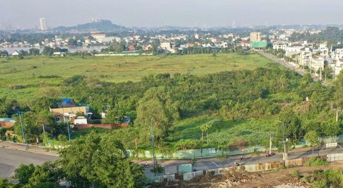 Khu đất làm dự án bị bỏ hoang trong nhiều năm.