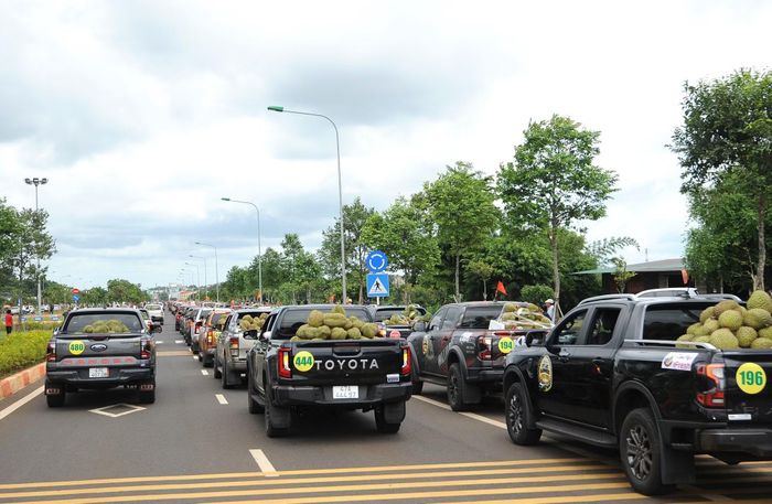 Anh Đoàn Trung Hiếu (trú tại xã Krông Pắk) cho biết, khi nghe thông tin lễ hội tổ chức diễu hành đoàn xe bán tải chở sầu riêng dài nhất thế giới, từ sáng sớm anh đã cùng với các thành viên trong gia đình đến một quán cà phê trên đường Võ Nguyên Giáp, chọn một vị trí đẹp nhất để xem.