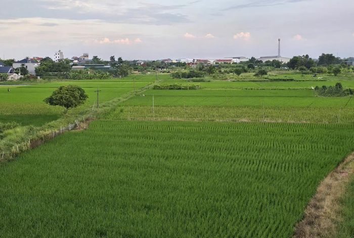 Ảnh minh hoạ. (Ảnh: Đoàn Chi)