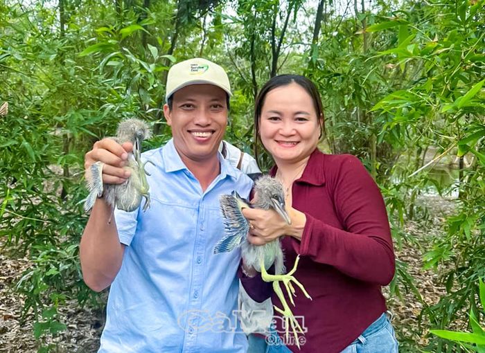 Khách du lịch thích thú chụp ảnh lưu niệm cùng các con cò con.