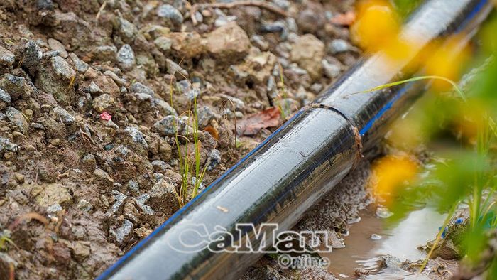 Từng đoạn ống dẫn nước sạch được khẩn trương đấu nối và lắp đặt nhằm kịp thời đưa nguồn nước ngọt về vùng hạn mặn.