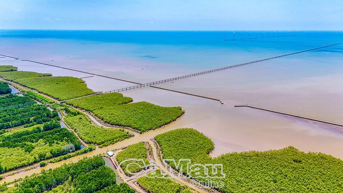Xã Vĩnh Hậu sở hữu nhiều tiềm năng phát triển du lịch sinh thái, cộng đồng và các sản phẩm du lịch gắn với điện gió.
