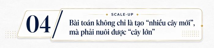 Hệ sinh thái khởi nghiệp đổi mới sáng tạo Việt Nam liên tục cải thiện thứ hạng quốc tế, nhưng số startup đủ sức mở rộng hoạt động ra khu vực và thế giới vẫn chưa nhiều. Theo ông, khoảng cách giữa “thứ hạng hệ sinh thái” và “năng lực tạo dựng doanh nghiệp lớn” xuất phát từ đâu?