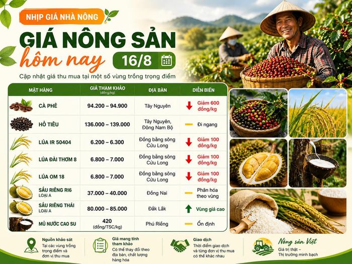 Giá nông sản hôm nay 16/8: Cà phê giảm phiên thứ tư, hồ tiêu đứng giá. Ảnh được tạo có sự hỗ trợ của AI