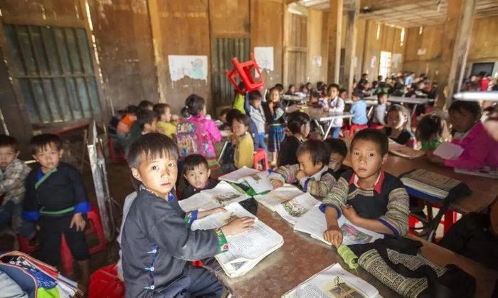 Bộ Giáo dục và Đào tạo yêu cầu các địa phương rà soát, cập nhật dữ liệu trẻ em, học sinh trong độ tuổi giáo dục bắt buộc và phổ cập giáo dục theo địa bàn dân cư.