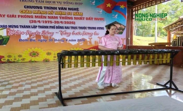 Việc giữ gìn và phát huy giá trị di sản văn hóa, kết hợp với phát triển du lịch sinh thái và nông nghiệp hữu cơ không chỉ giúp vùng đất này ngày càng giàu mạnh mà còn góp phần lan tỏa giá trị về lối sống bền vững, gần gũi với thiên nhiên
