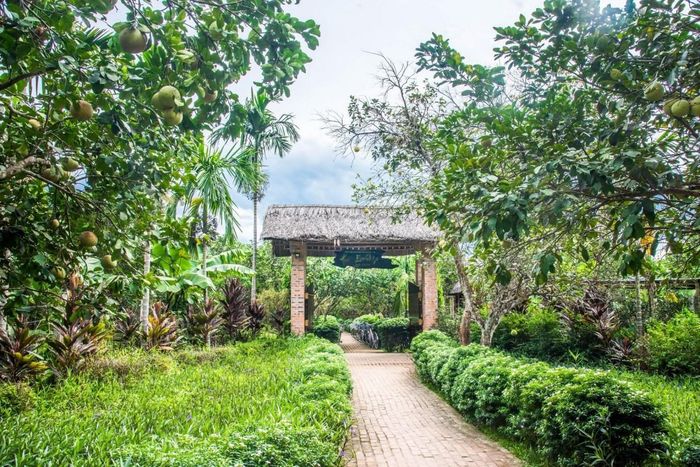 Thanh trà từ lâu đã trở thành một sản vật gắn với đời sống, ký ức và văn hóa của người dân vùng đất Thủy Xuân, Tp. Huế.