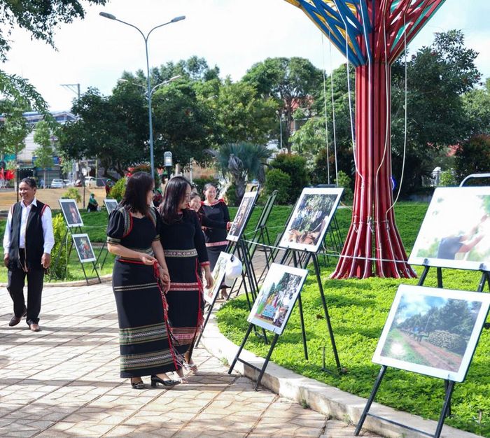 Không gian trưng bày tại triển lãm thu hút sự quan tâm của người dân và du khách.