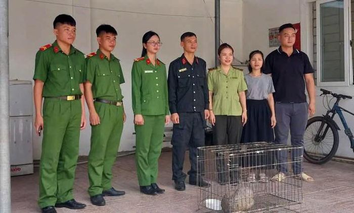 Lực lượng chức năng bàn giao cá thể tê tê cho UBND phường Vinh Lộc để chuyển đến Vườn quốc gia Pù Mát cứu hộ, chăm sóc. Ảnh: V.L