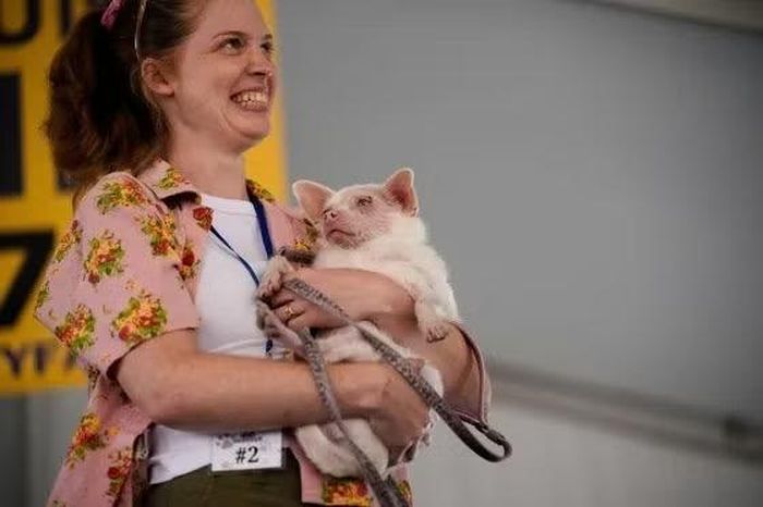 Á quân Pinky.