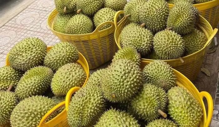 Sầu riêng đóng góp hơn 1 tỷ USD vào tổng kim ngạch xuất khẩu rau quả trong các tháng đầu năm 2026