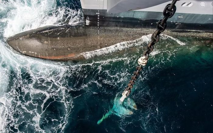 Chi phí của USS John F. Kennedy cũng tăng đáng kể trong quá trình phát triển. Cơ quan Nghiên cứu Quốc hội Mỹ (CRS) năm 2018 ước tính chi phí chế tạo tàu ở mức 11,3 tỷ USD. Đến tháng 12/2025, con số này đã vượt 13 tỷ USD.