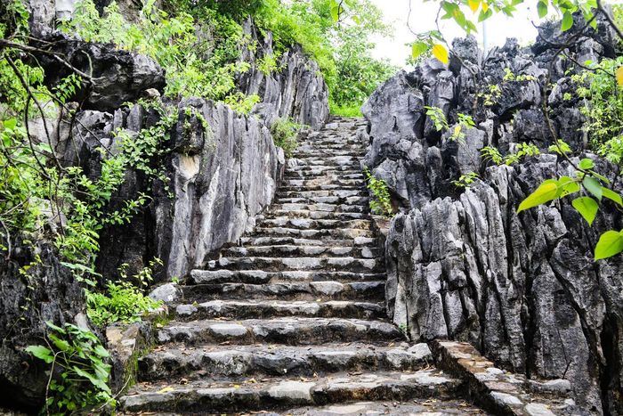 Những bậc đá nối tiếp nhau, có đoạn khá chênh vênh. Càng lên cao, cây cối càng phủ kín lối đi. Ảnh: Đình Minh