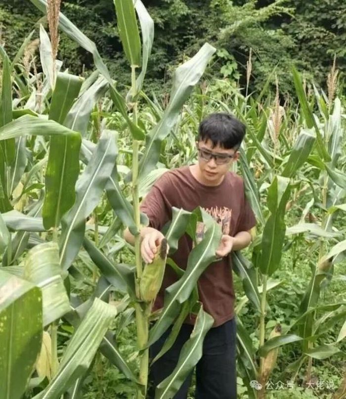 Ning Boyu đang trải nghiệm làm nông ở quê nhà Hồ Nam. Ảnh: Weibo.