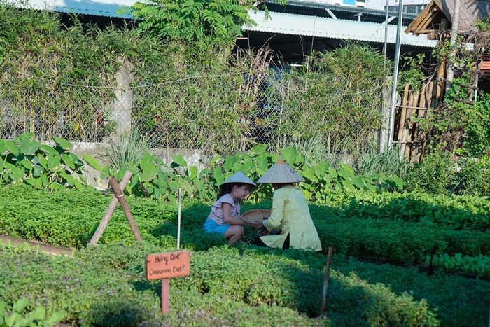 Nhóm tiêu chí về "Chương trình trải nghiệm - Quảng bá văn hóa và doanh nghiệp địa phương" khuyến khích cơ sở cung cấp các hoạt động ngoài trời thân thiện với môi trường. Ảnh:SSHA