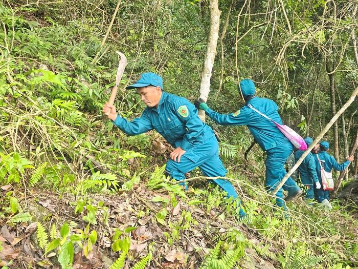 Các chiến sĩ dân quân phát quang bụi rậm để chuẩn bị cho công đoạn đào xới từng tấc đất tìm hài cốt liệt sĩ