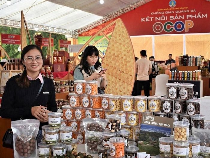 Trong khuôn khổ Festival dự kiến có khoảng 300 gian hàng, giới thiệu sản phẩm văn hóa, du lịch, OCOP và đặc sản các vùng miền. Ảnh minh họa