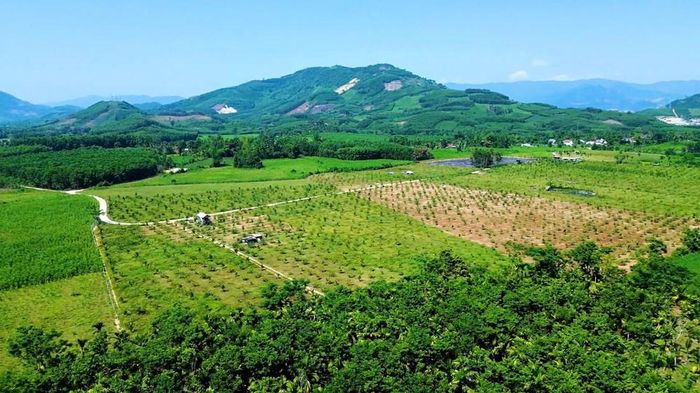 Nông trại Phạm Văn Đồng tại thôn Làng Trá, xã Sơn Linh