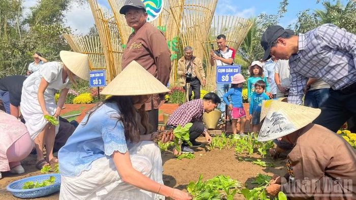 Du khách trải nghiệm trồng rau tại Lễ hội Cầu bông làng rau Trà Quế năm 2026. (Ảnh: ANH ĐÀO)