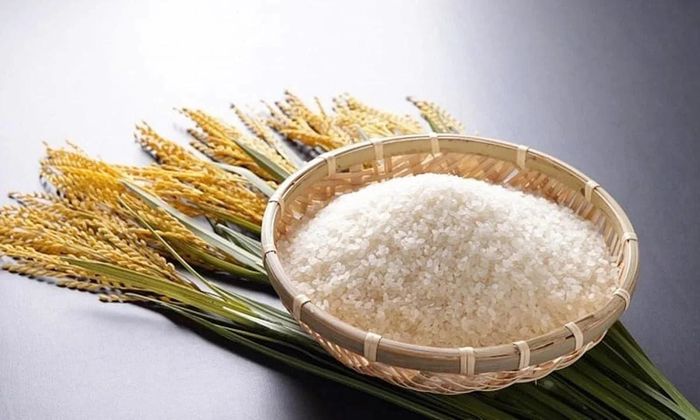 Giá lúa gạo hôm nay tại khu vực Đồng bằng sông Cửu Long ít biến động, giá gạo xuất khẩu của Việt Nam đi ngang. Ảnh minh họa: nongnghiepmoitruong.vn