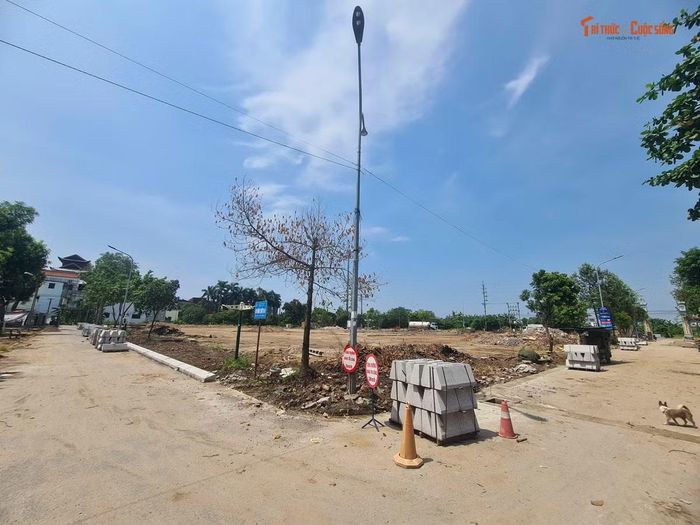 Được biết trong số các hạng mục của dự án, quy mô xây dựng sân thể thao, khuôn viên vui chơi được phê duyệt là 8.600m2.