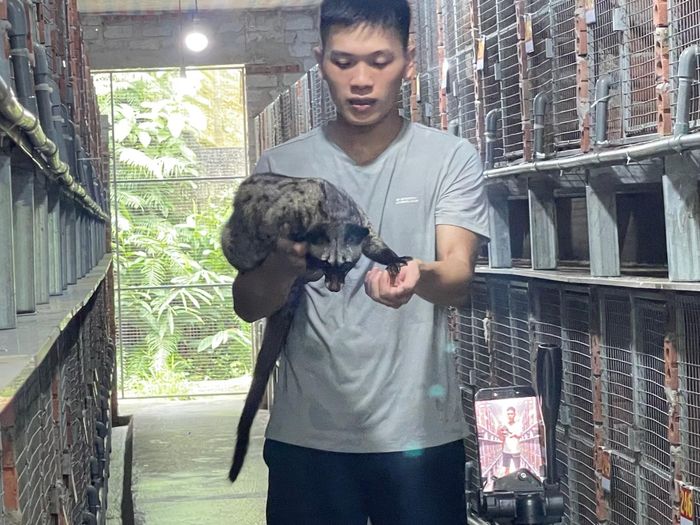 Từ kinh nghiệm bản thân, Phước đang tập xây dựng kênh online, vừa giới thiệu mô hình, vừa chia sẻ kinh nghiệm nuôi chồn thực tế với bà con.