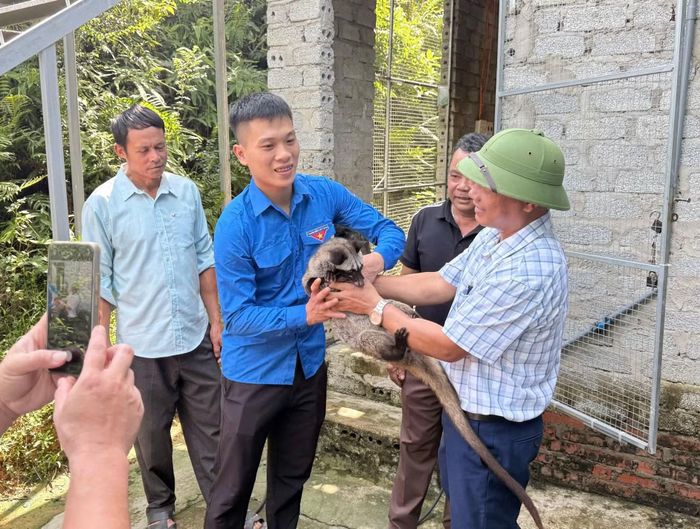 Mô hình của Phước thu hút nhiều người tìm đến tham quan, học hỏi kinh nghiệm nuôi chồn hương.