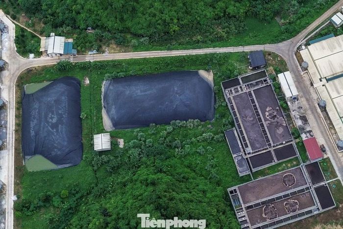 Công ty TNHH Dabaco Thanh Hóa - nơi xảy ra vụ tai nạn lao động làm 5 người chết hôm 18/7.