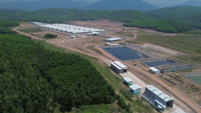 Trang trại chăn nuôi heo Minh Phúc gây ô nhiễm môi trường.