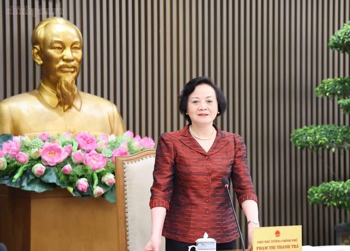 Phó Thủ tướng Phạm Thị Thanh Trà phát biểu. (Ảnh: VGP)