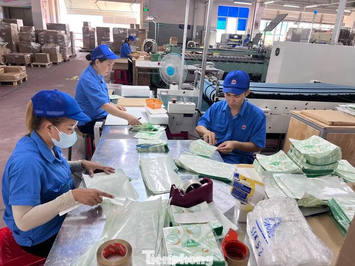 Để phát huy hiệu quả nguồn tín dụng, cần nắn dòng vốn vào sản xuất kinh doanh.