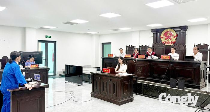 Sáng 17/8, TAND tỉnh Hà Tĩnh mở phiên tòa sơ thẩm xét xử công khai bị cáo Đậu Thị Huyền Trang về tội “Lừa đảo chiếm đoạt tài sản”.